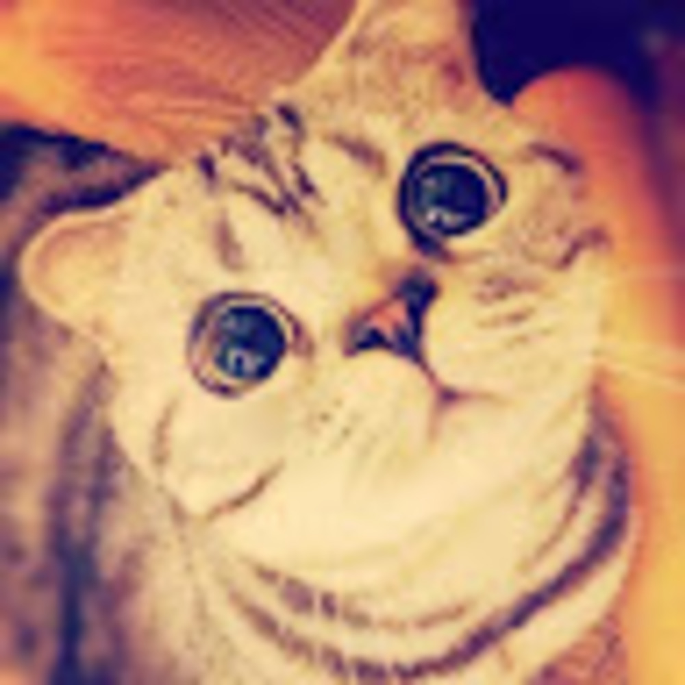 Meet your Posher, Jasmine nichole